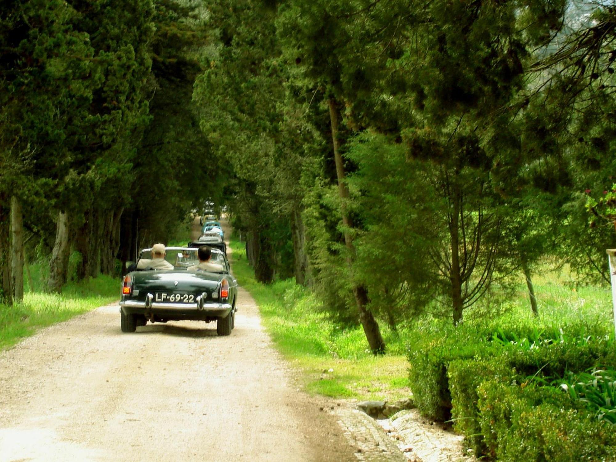 Quinta Da Alcaidaria Mor Βίλα Ourém Εξωτερικό φωτογραφία